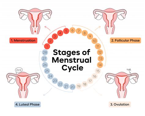 Understanding the Symbolism: Exploring the Significance of Dreams Involving Your Daughter's Menstrual Cycle