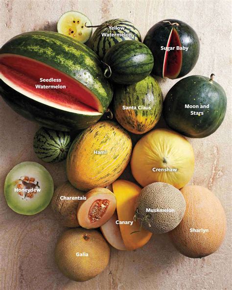 Understanding the Various Varieties of Melons