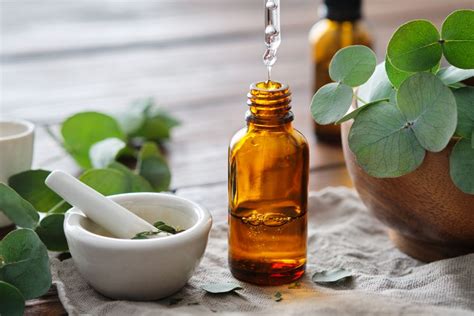 Unlocking the Beauty Benefits of Plant-Based Oil for Skin and Hair