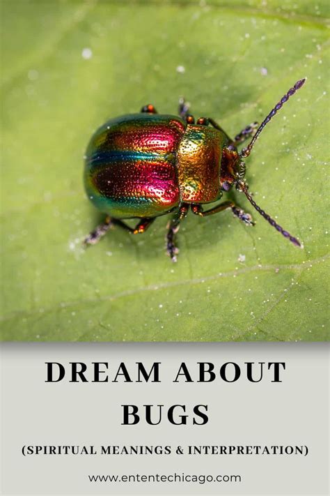 Unlocking the Secrets: Dark-Colored Insects in Dream Interpretation