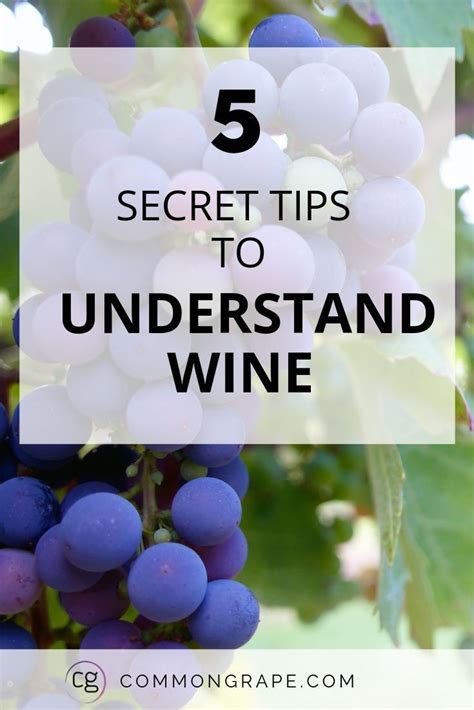 Unlocking the Secrets: Understanding the Art of Wine Tasting