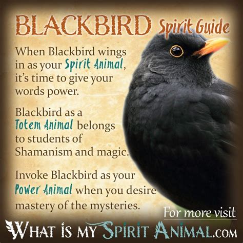 Unlocking the Significance of Black Birds Perishing in Dreams