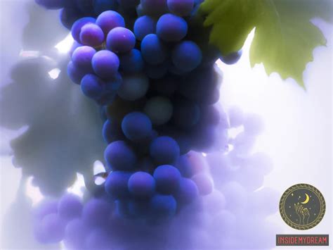 Unlocking the Significance of Grapevines in Dream Interpretation