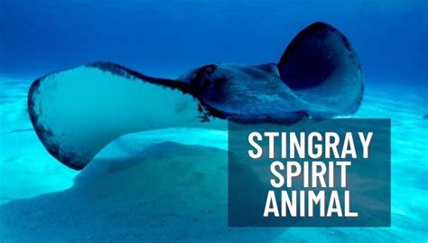 Unlocking the Symbolism: Decoding the Stingray