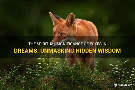 Unmasking the Significance: Exploring the Symbolism of Dream Encounters with Majestic Felines