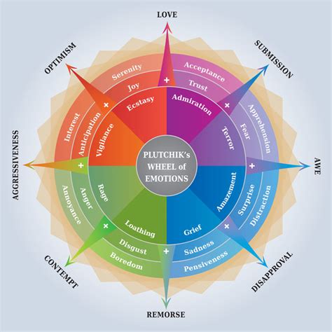 Unpacking the Subtext: Interpreting the Emotions Behind Translocation Visions