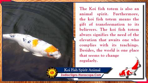 Unraveling the Spiritual Essence of Dreams Featuring Ebony Koi Fish