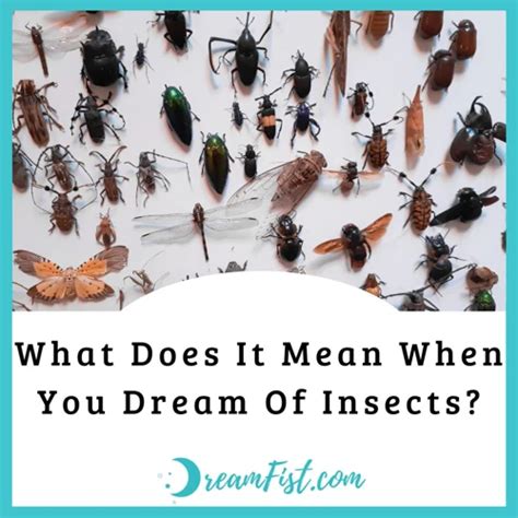 Unsettling Infestations: Understanding the Presence of Bugs in Dreams