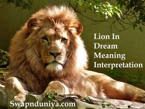 Unveiling the Cryptic Significations and Communications of Lion Dreams
