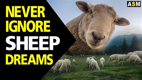 Unveiling the Deeper Significance of Sheep in Dream Interpretation