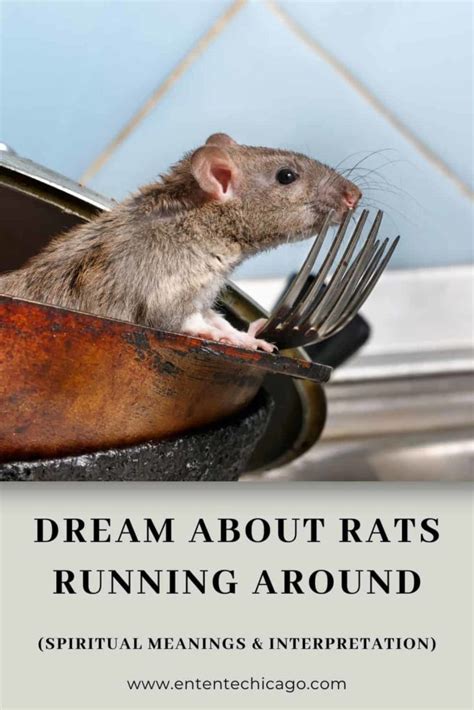 Unveiling the Hidden Meanings and Interpretations of Rat Dreams