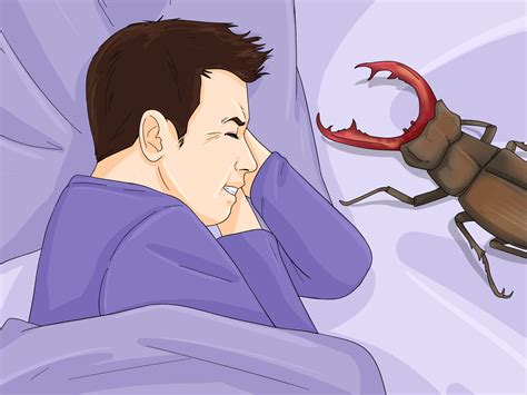 Unveiling the Symbolic Significance of Beetles' Appearance in Dreams