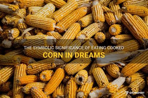 Unveiling the Symbolic Significance of Regurgitated Cooked Grain