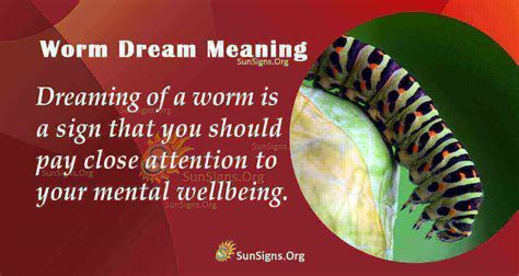 Unveiling the Symbolism Found in Dreams Involving Worms Observed in Excrement