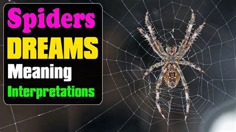 Unveiling the Symbolism of Arachnids in Dreams