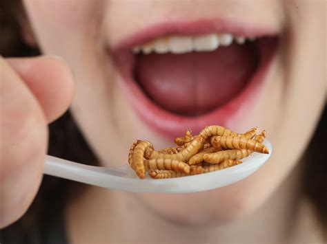 When Consumed: The Bizarre and Disturbing Reality of Ingesting Food Teeming With Worms