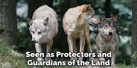 Wolves as Guardians and Protectors: Exploring their Symbolic Role